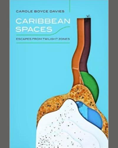 Caribbean Spaces Book Cover